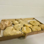 Ca. 11x Fossielen uit marokko