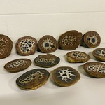 6x Septariepaartjes groot