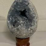 Celestien eivorm, blauw