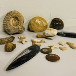 Ca. 20x diverse fossielen
