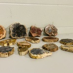 Ca. 14x Versteend hout plakken