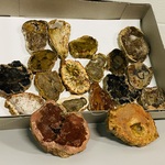 Ca. 18x Versteend hout plakken