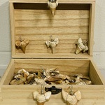 Ca. 50x Haaientand hangers