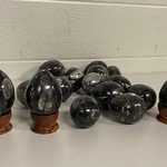 Ca. 16x Orthoceras ei