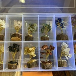 Ca. 60x Edelstenen boompjes diverse soorten