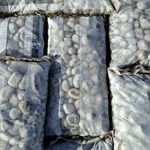 37x Zak sierkeien a 25 kg The Collection, Grijs