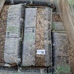 23x Zak cappucinosplit a 25 kg The Collection