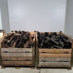 Partij diverse schoenen