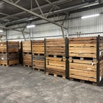 Ca. 2000x Zitkussen, DAF