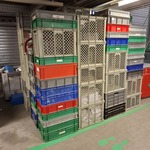 Partij kunststof kratten in diverse maten