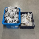 Ca. 90x Eurocnus en 340x nippel