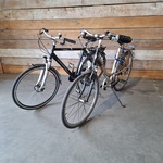 Damesfiets en Herenfiets, Batavus / Target Skyline, Toerfiets, Bruin /