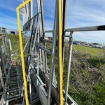 Zij resteel, lichtgrijs