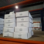 Ca. 120x Kwasten maat 16, ANZA, Wit