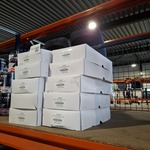 Ca. 120x Kwasten maat 16, ANZA, Wit