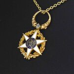 Gouden hanger (The Order of Agricultural Merit 1883) met diamant