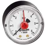Ca. 10x Manometers Caleffi