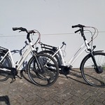 2x E-Bike, Stella, Wit