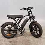 Fatbike