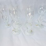 Naakte vrouwen glazen set – 6 borrelglazen