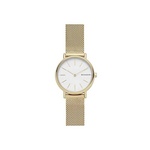 Skagen SKW2693 Horloge Goudkleurig