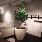 Kunstplant in pot Colours&Green, Fiddle Leaf Tree