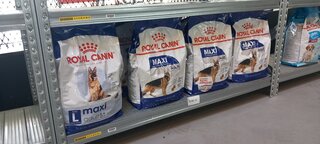 8x Zak hondenvoer Royal Canin, Maxi adult