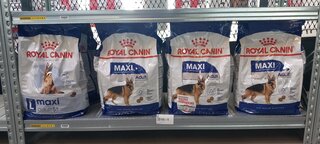 8x Zak hondenvoer Royal Canin, Maxi adult