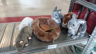 5x Knuffel konijn en rat Boony