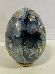 Celestien eivorm, blauw