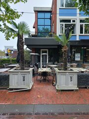 2x Palmboom in houten bak