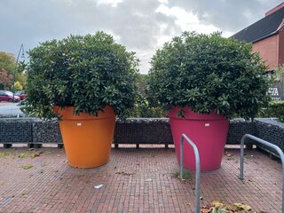 Combinatiekavel van kavel: 245 en 246