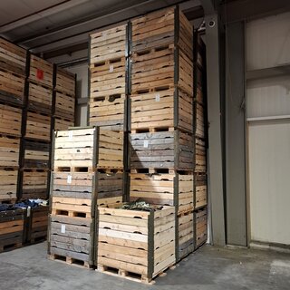 Persoonlijke uitrusting en kleding Defensie