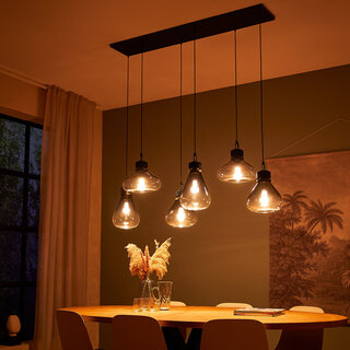 Hanglamp Flere 2672ZW Zwart Steinhauer Lighting, 2672ZW, Zwart, 2024