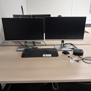 Monitor-set met HP DisplayLink 4K HP, E233 LCD