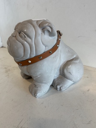 buldog grijs