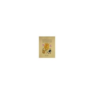 Hoefnagel Yellow Tulip div. kleuren