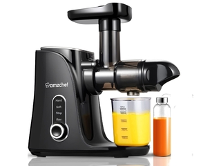 AMZCHE Cold Press Juicer met 2 snelheden voor hele vruchten en groente