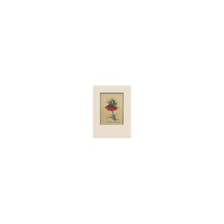 Botanical Art, Orange div. kleuren