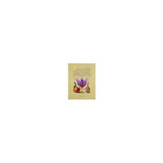 Hoefnagel Pink Tulip div. kleuren