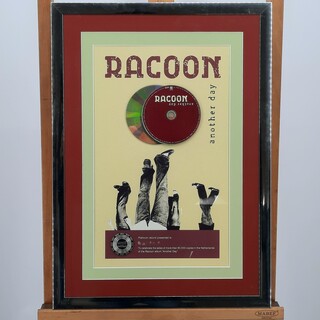 Platina plaat, NVPI, Racoon ‘Another Day’
