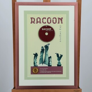 Gouden plaat, NVPI, Racoon ‘Another Day’