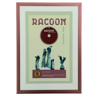 Gouden plaat, NVPI, Racoon ‘Another Day’