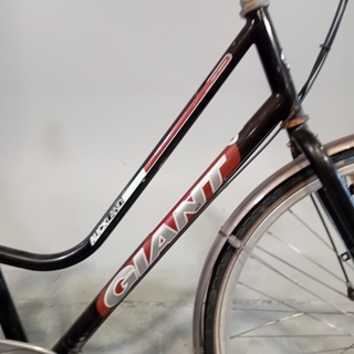 Damesfiets, Giant, Auckland