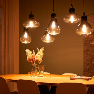 Hanglamp Flair 6 lichts Steinhauer Lighting, Zwart , 2024