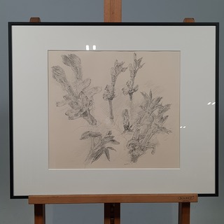 Tekening, E. Brusse, Uitbotten kastanje takken 1, 1983