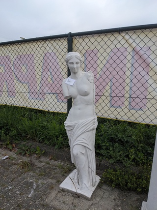 Tuinbeeld Venus
