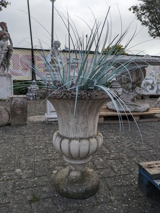 Bloempot