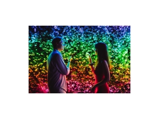 Twinkly Strings Lichtsnoer 20M LED 250LED RGB  Dimbaar  Binnen & Buite