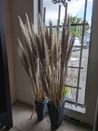 2x Vaas met riet en 2x raamdecoratie
